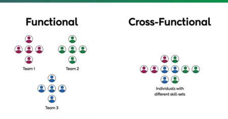 Team Structure and Collaboration